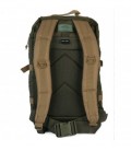 US ASSAULT PACK SM RANGER GROEN /COYOTE 20 LTR